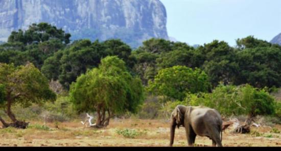 Water Supplied To Wildlife In National Parks